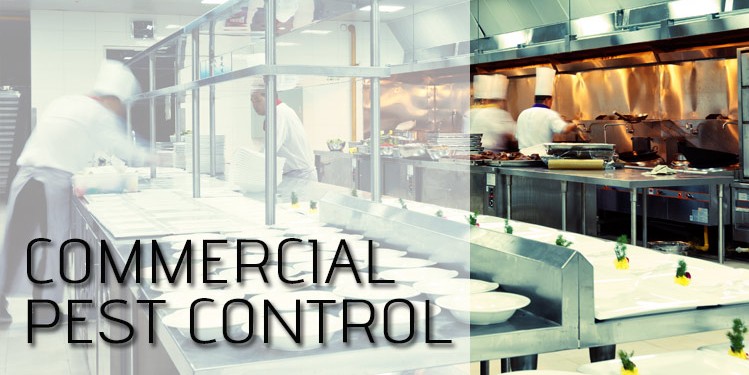 commercial pest control