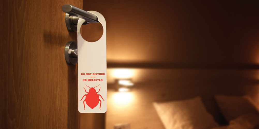 hotels pest control